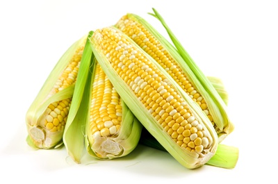 Gloria Ann Corn on the Cob